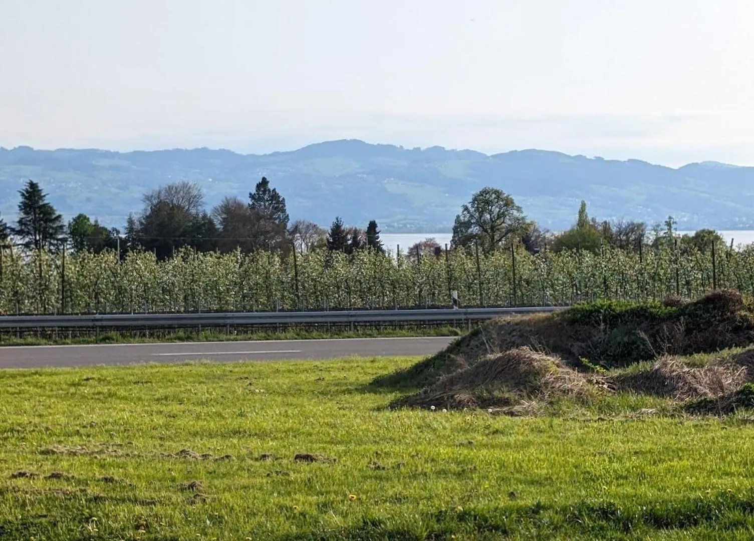 Apartment Kinderlachen Wasserburg am Bodensee